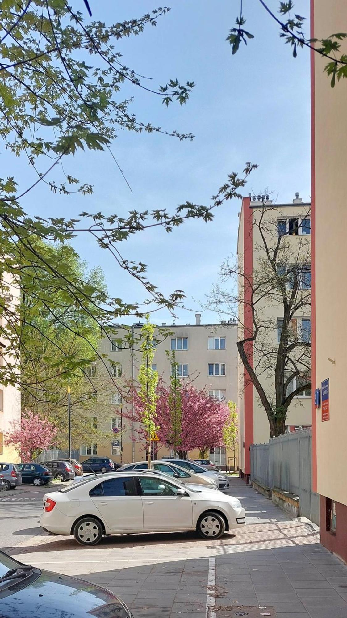 Butas Studio In Wola Warsaw